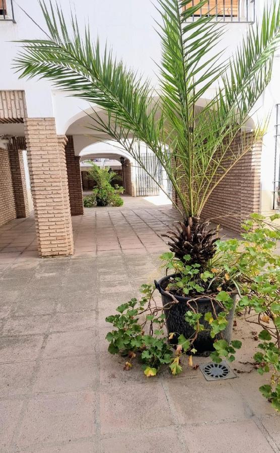 Apartamento Alcazar San Basilio Cordoba Exterior photo